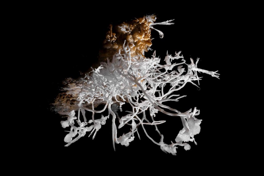 Grotte de Malaval Lozère - concrétions d'aragonite 