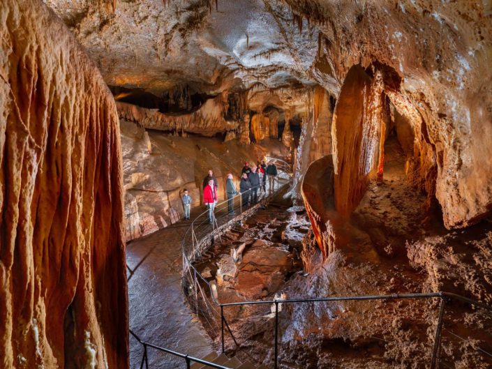 Grotte du Pech Merle - Salle des disques