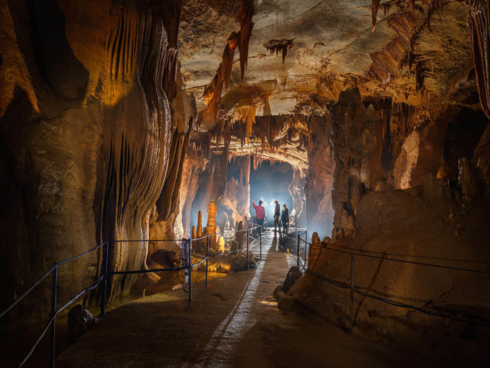 La grotte de la Cocalière - La salle des disques