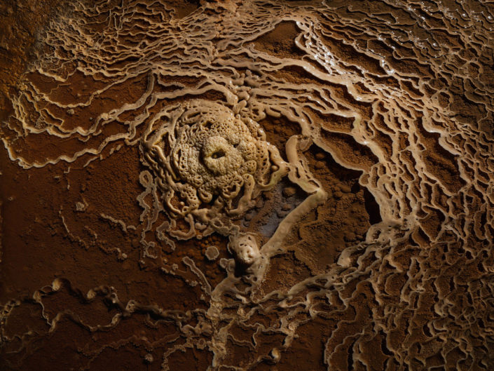 La grotte de la Cocalière - Micro gours et perle de caverne