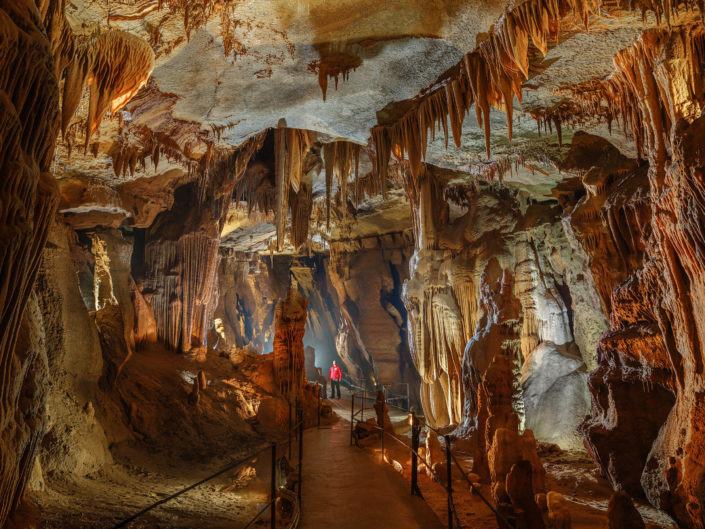 La grotte de la Cocalière - Galerie des disques