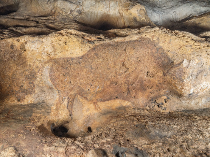 Grotte de Font de Gaume