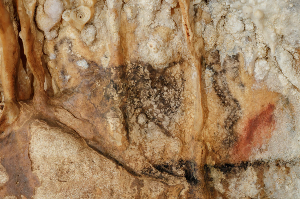 Le bison Grotte de Villars